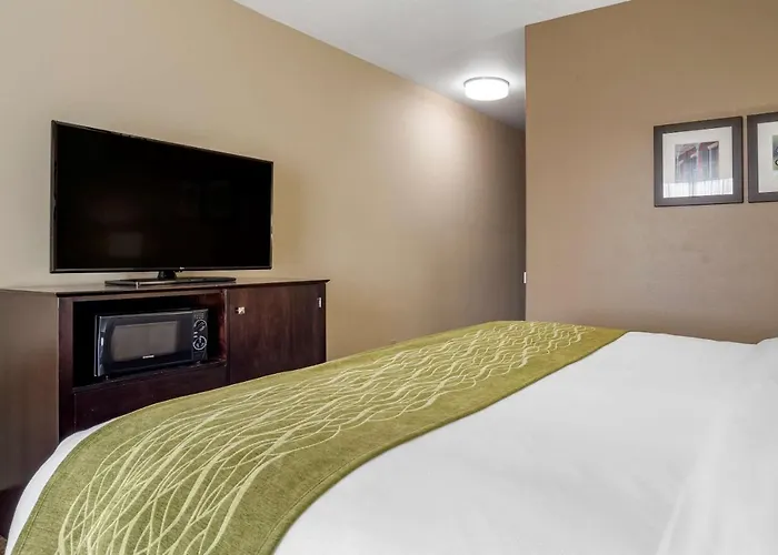 Comfort Inn & Suites Scott-West Lafayette